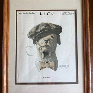 Licensed Reprint 1920 Life Magazine Cover with Pit Bull